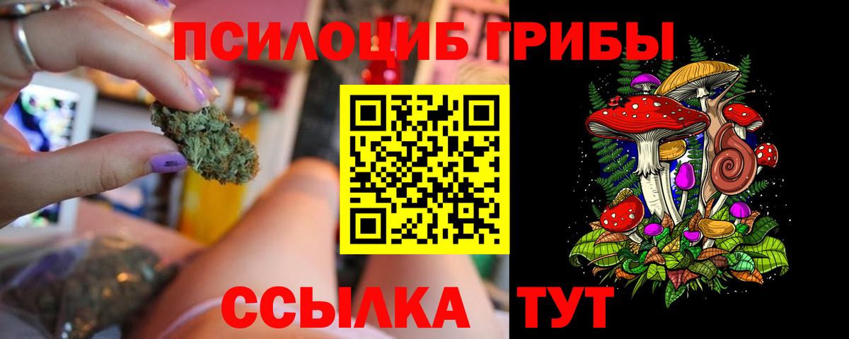 Псилоцибиновые грибы мицелий  купить  сайты  Владикавказ  Вход с VPN 