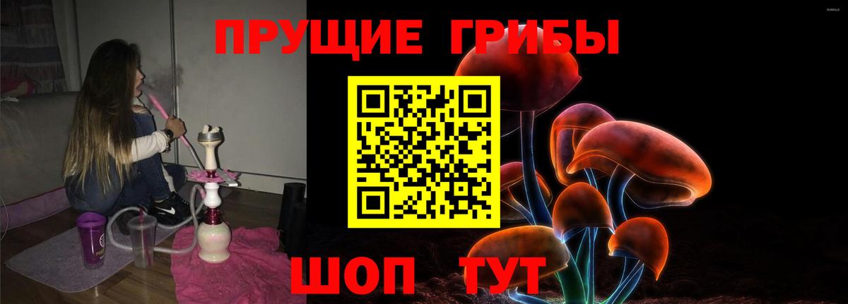 Псилоцибиновые грибы мухоморы Владикавказ